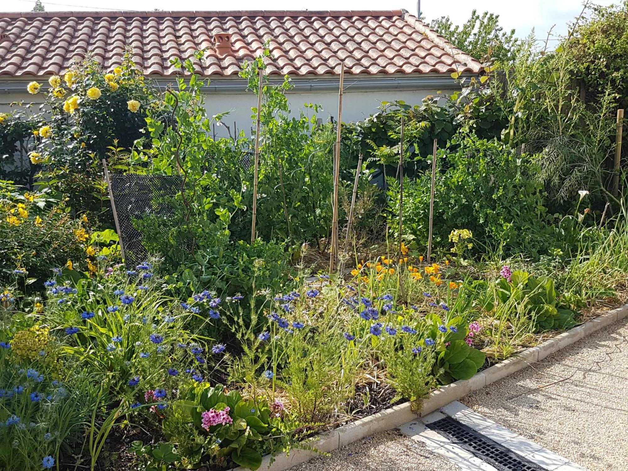 Detente Gite Et Spa Entre Mer Et Marais Villeneuve-en-Retz Exterior foto